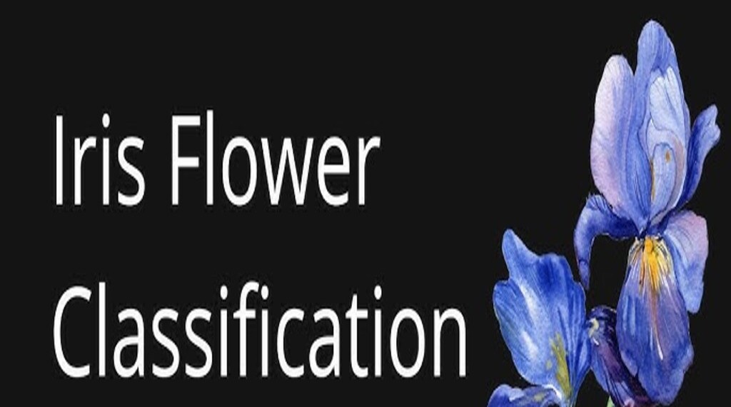 Iris Flower Classification